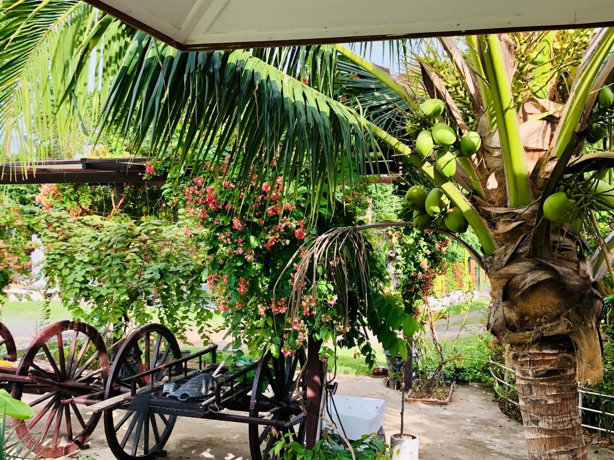 Baan Thung Home Stay Prasat Экстерьер фото
