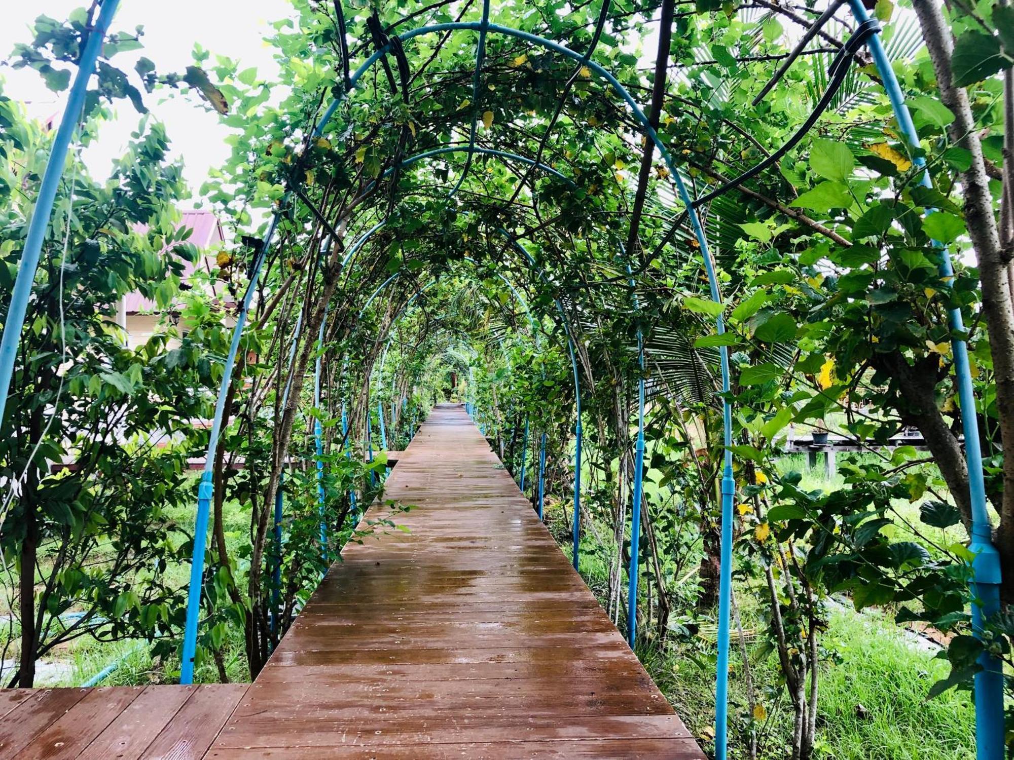 Baan Thung Home Stay Prasat Экстерьер фото