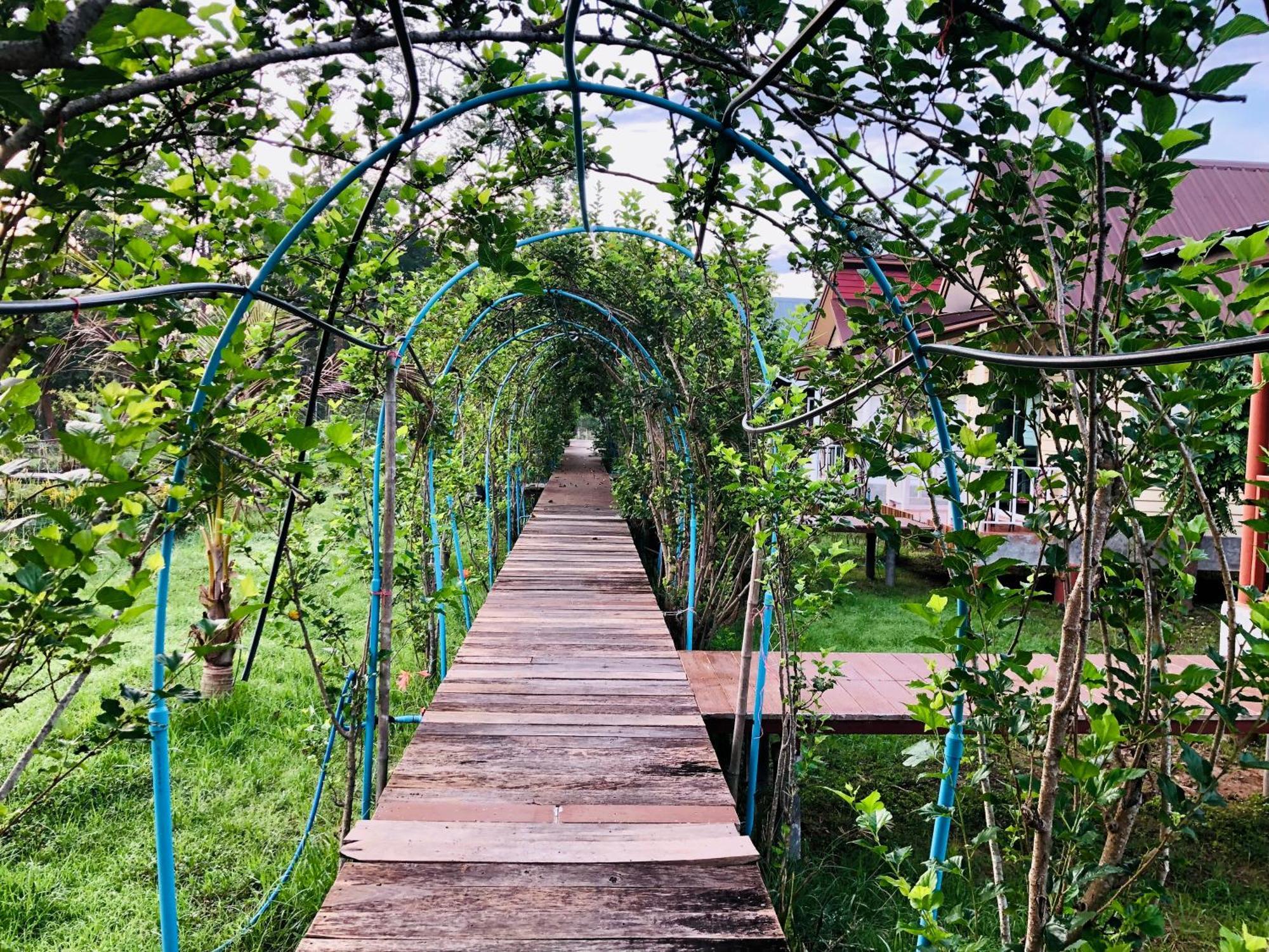 Baan Thung Home Stay Prasat Экстерьер фото