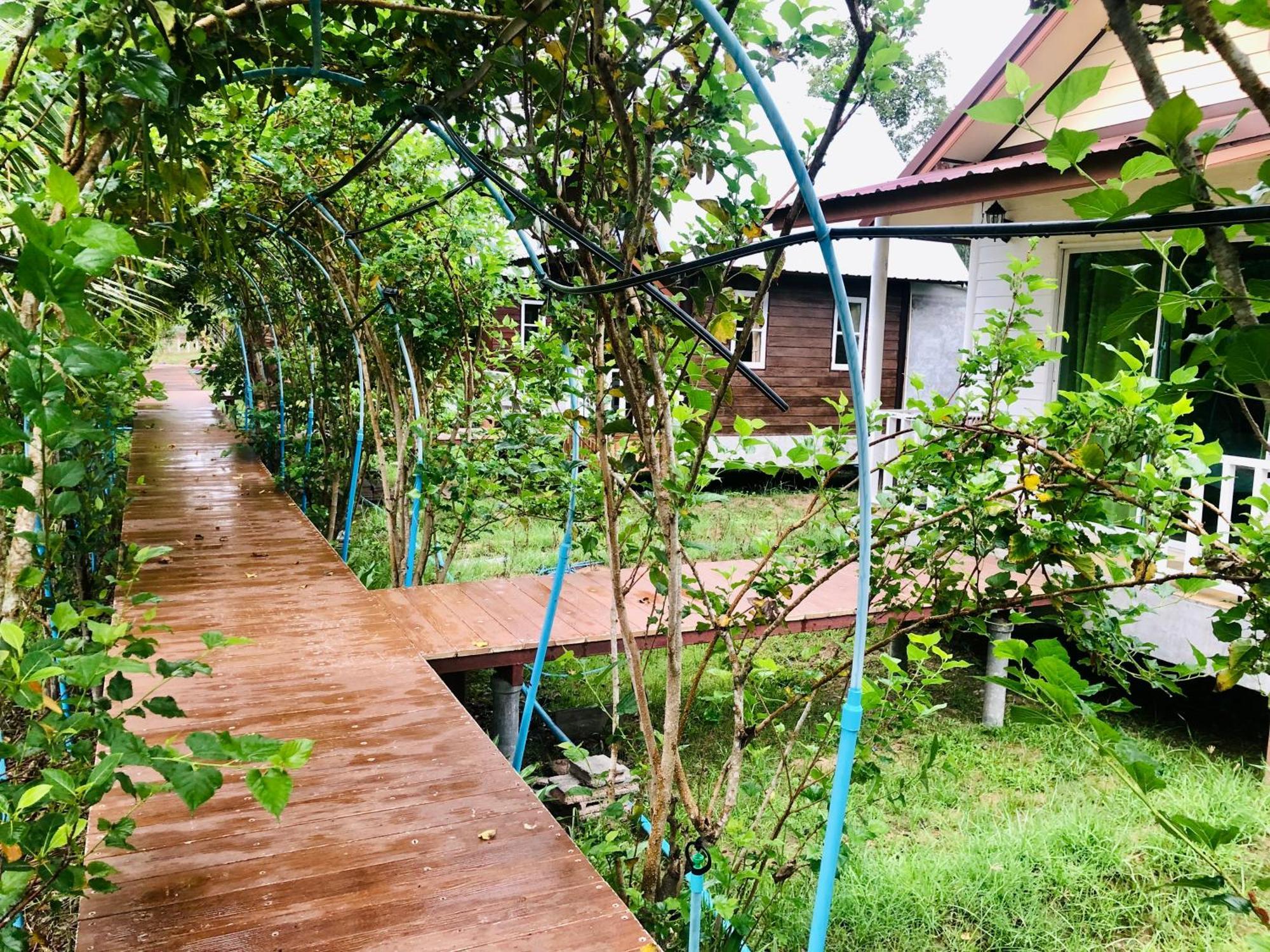 Baan Thung Home Stay Prasat Экстерьер фото