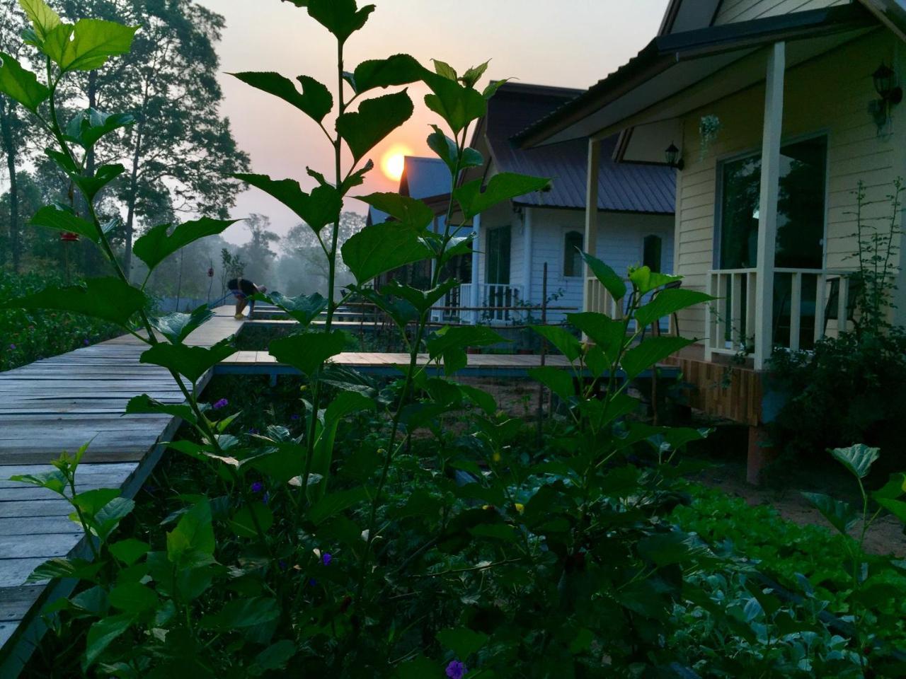 Baan Thung Home Stay Prasat Экстерьер фото