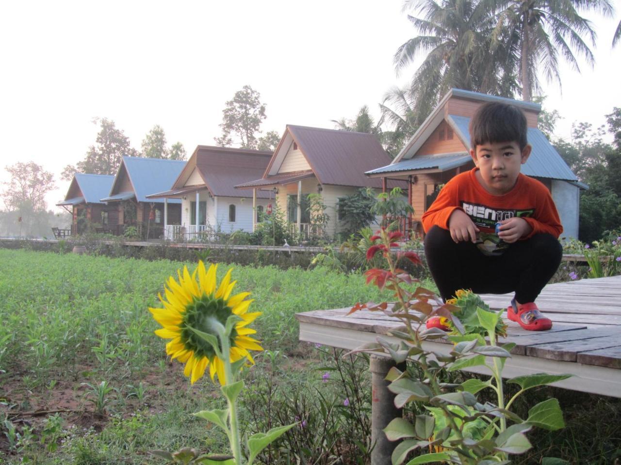 Baan Thung Home Stay Prasat Экстерьер фото