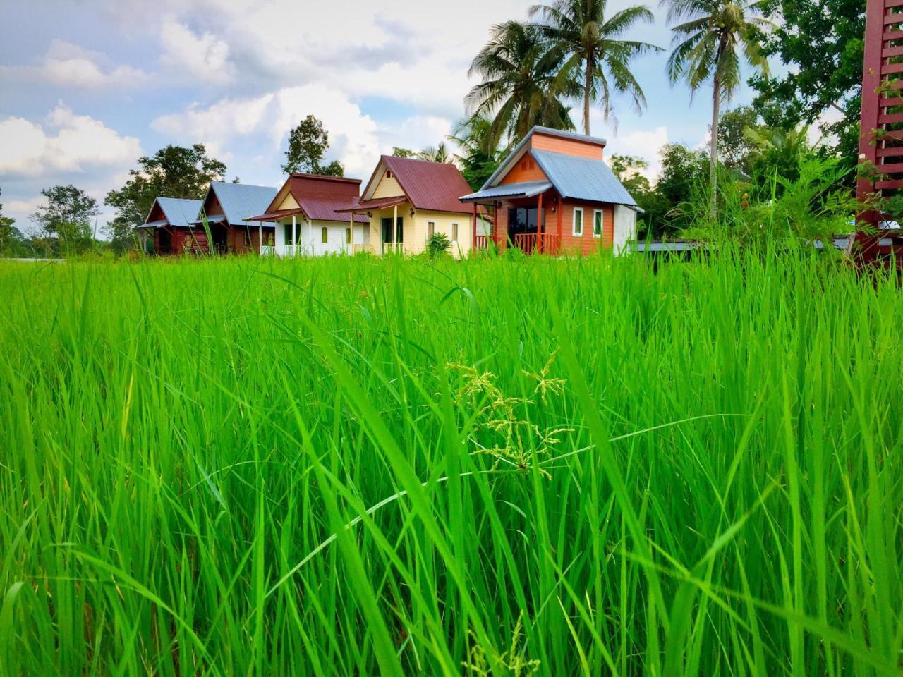 Baan Thung Home Stay Prasat Экстерьер фото