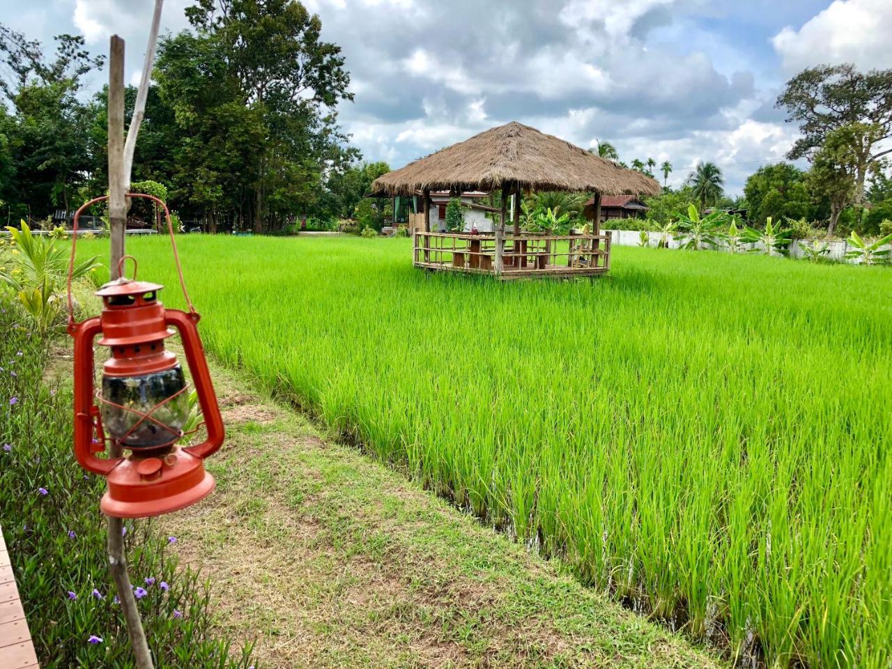 Baan Thung Home Stay Prasat Экстерьер фото