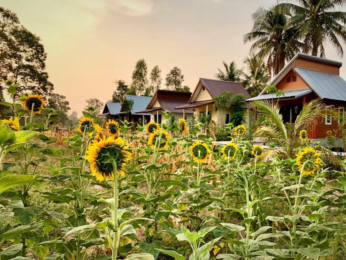 Baan Thung Home Stay Prasat Экстерьер фото