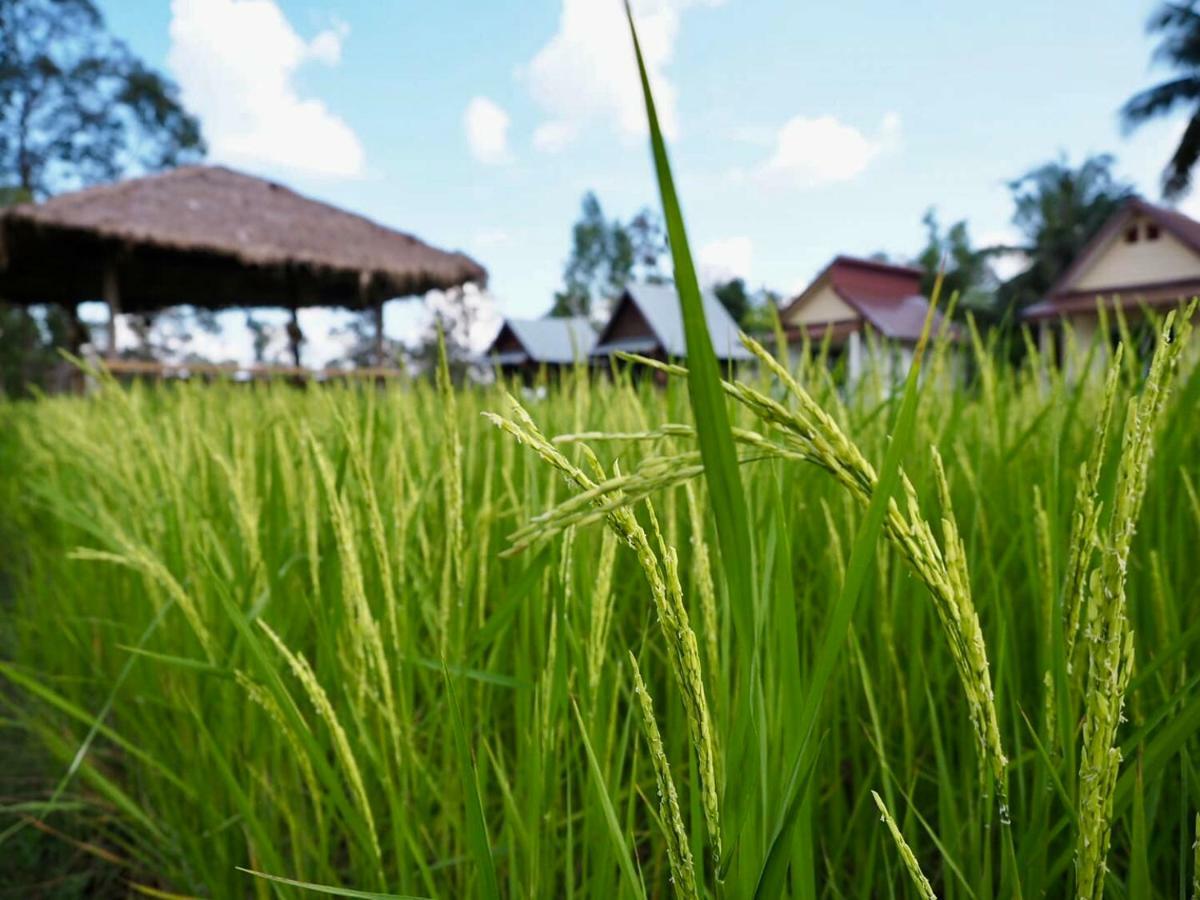 Baan Thung Home Stay Prasat Экстерьер фото