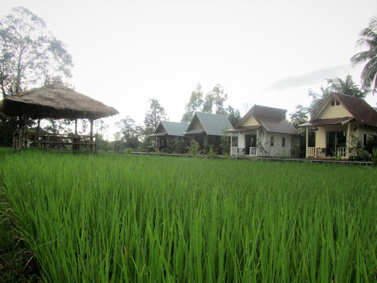 Baan Thung Home Stay Prasat Экстерьер фото