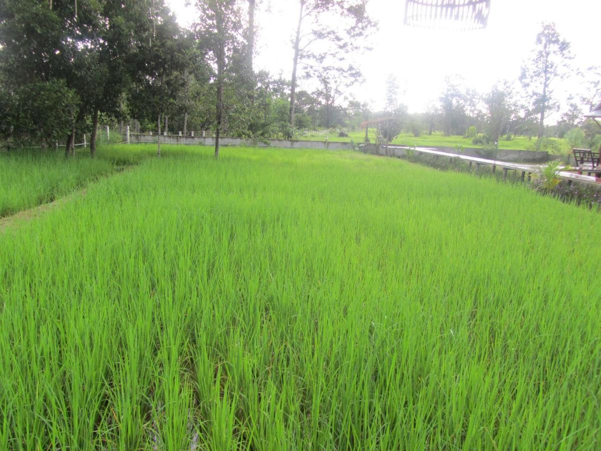 Baan Thung Home Stay Prasat Экстерьер фото